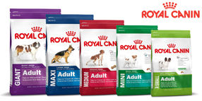 piensos royal canin