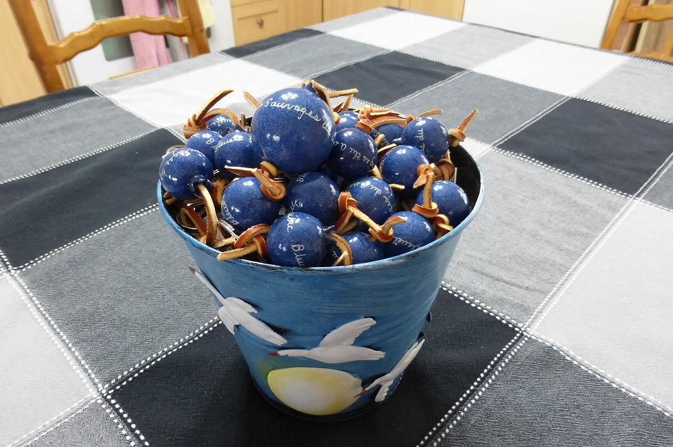 Bleuets sauvages du Québec