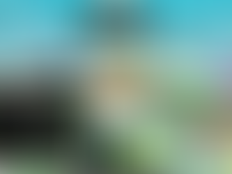 Steal a brainrot - No key script