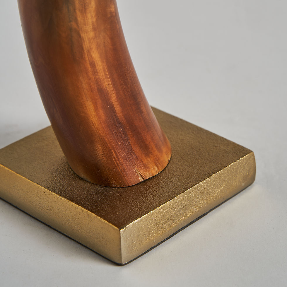 Miniatura: Figura Cuerno