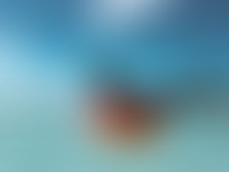 5 reasons why you have to experience the famous Paje beach parties