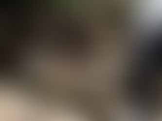 Por que empresas e restaurantes estão buscando soluções para resíduos orgânicos