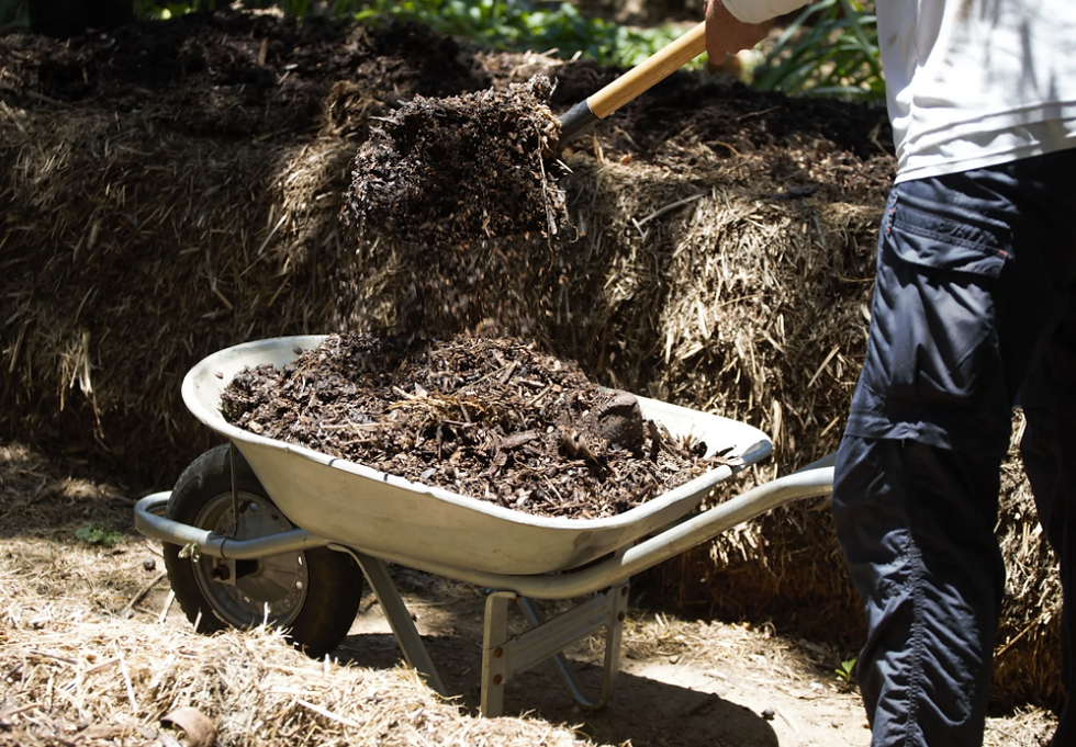 Por que empresas e restaurantes estão buscando soluções para resíduos orgânicos