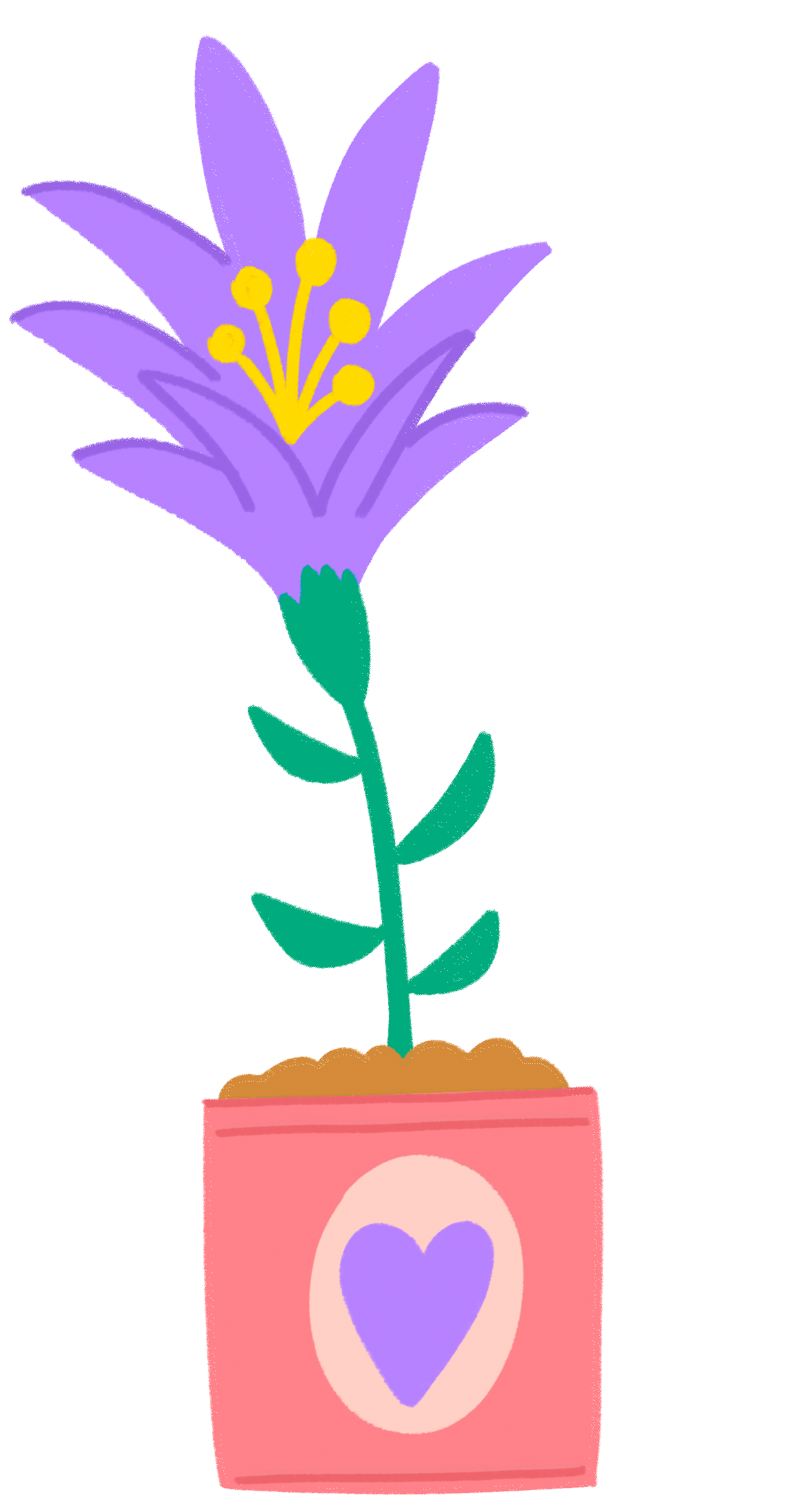 보라꽃.gif