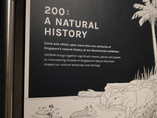 A bicentennial experience at Lee Kong Chian Natural History Museum