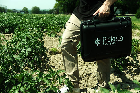 Walking in Field with Picketa Systems