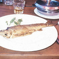 ContaxT2_AgfaRSX2_11_2022_57 Kopie.jpg