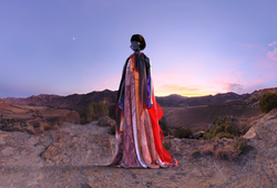 Alien Dress Lisa Wagner