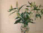 IMG_9124.jpeg
