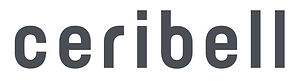 CeriBell is a medical device company based in Silicon Valley founded by two faculty members at Stanford University. The technology is a novel approach to acquiring and interpreting electroencephalography (EEG) data: the gold standard for critical neurological conditions such as seizures or other forms of altered mental state.