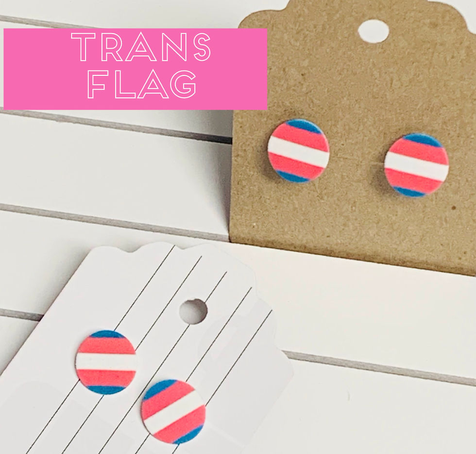 Thumbnail: Stud pride earrings 