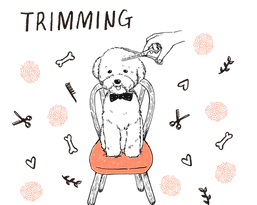 トリミングイラスト