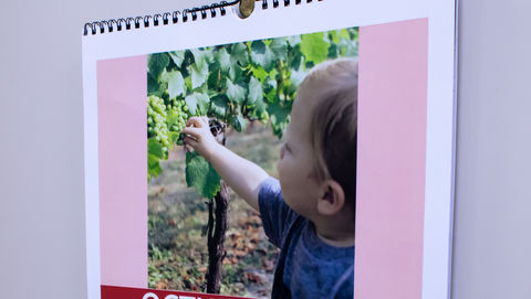 Calendaris d'espiral per penjar