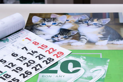 Calendaris de faldilla personalitzables