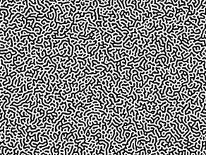 [13] Turing Pattern Design