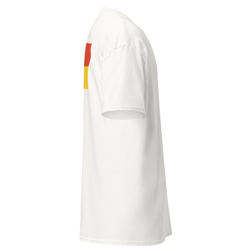 Miniature : TEE SHIRT LIFEGUARD