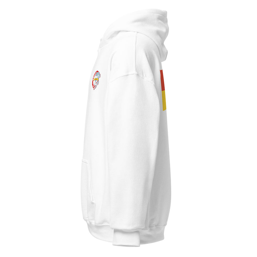 Miniature : Sweat Capuche LIFEGUARD