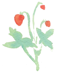 Plant_36.png
