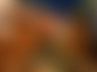 Tacos in Gilbert, AZ: Bold Flavors at Origen