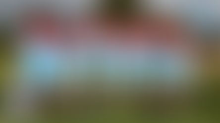 Shark Attack News - #6