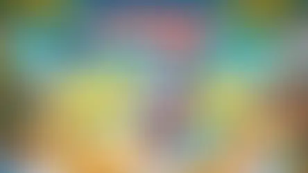 Shark Attack News - Christmas Edition 2024