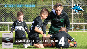 Shark Attack News - #4