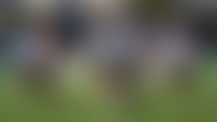 Matthews Cup Sharks top of the table after Roosters demolition