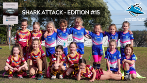 Shark Attack News - #15