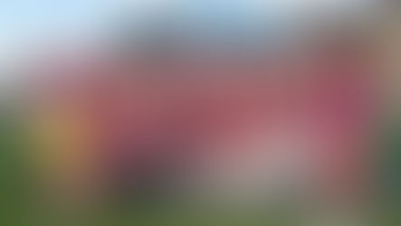 Joeys win maiden Open Gold Premiership