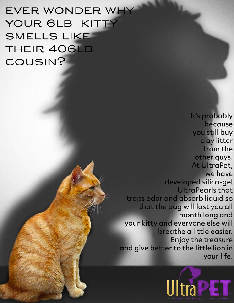 Cats all alike conflict