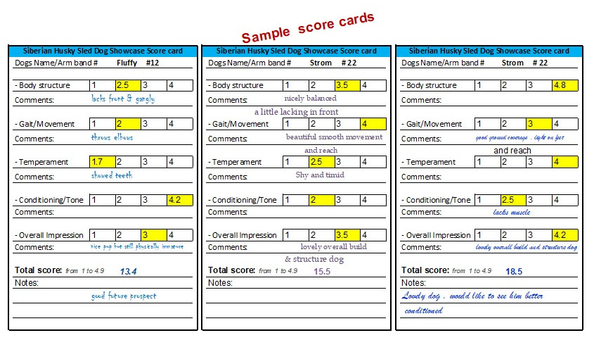 Sample showcase card.jpg