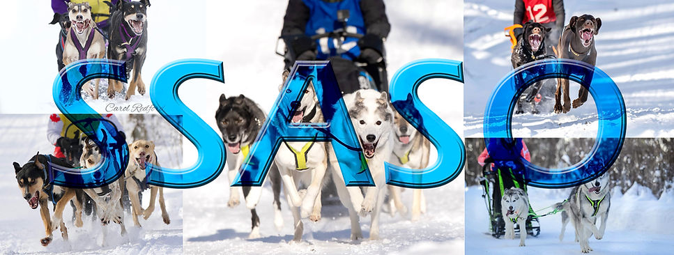 SSASO FB cover Winter.jpg