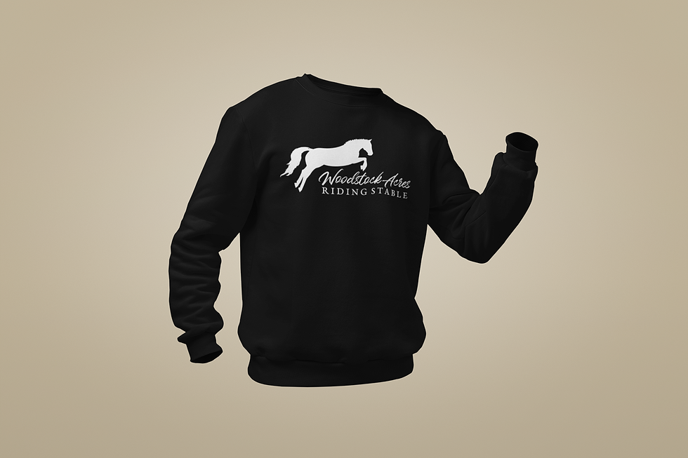 mockup-of-a-ghosted-men-s-sweatshirt-26961.png