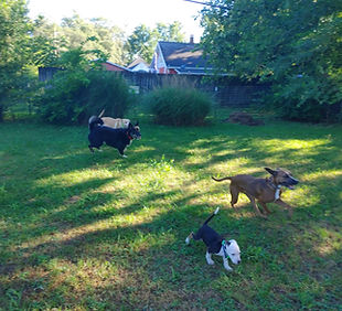 20240710_085401_HDR.jpg