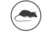 Pestify Rodents image