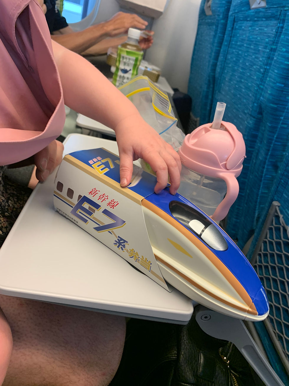 Ekiben on the Shinkansen is the only appropriate time to eat on public transport