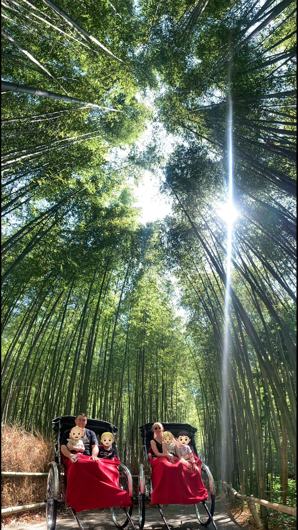 Arashiyama Bamboo Grove- go early to attractions or share your photos with lots of other people