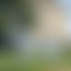 PRIMAVERA: LA STAGIONE DELL'INVERSIONE BIOLOGICA E COME PREPARARSI A MARZO