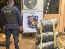 Incautan capullo de marihuana tipo Skunk en la ribera del río Paraná