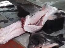 Pescaderías ofertan sus productos en la zona del Puente Remanso