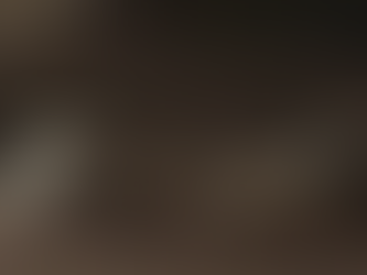 Mataron de un balazo a Ministro, un perrito de tres años; el dueño pide justicia