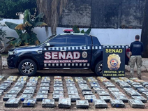 Itakyry: Senad detecta más de 800 kilos de marihuana en un patrullaje