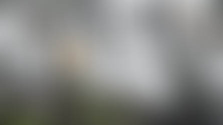 Incendio en Villa Cangrejo fue provocado por un joven adicto al crack, confirma la SEN