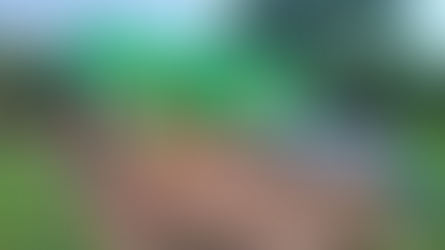 Devastadora tormenta y granizada destechan viviendas y dejan sin producción agrícola a campesinos