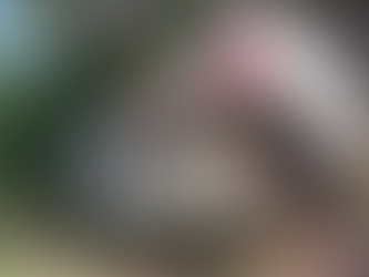 Policía identifica a fallecidos y a sobrevivientes de aparatoso vuelco en San Pedro