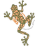 Logo Viajante Cacs (1).png