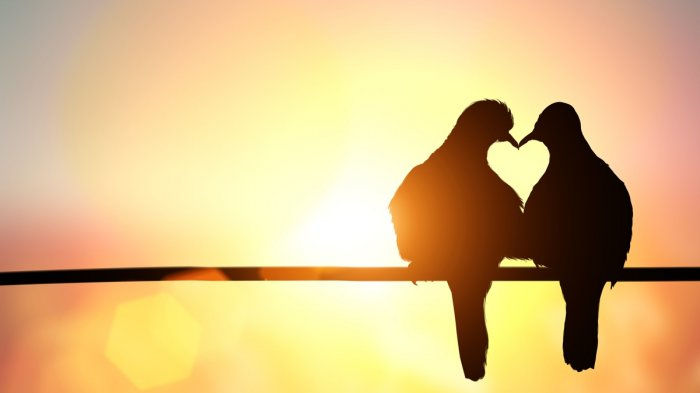 Lembut Namun Kuat Itulah Kekuatan Cinta Yang Mengubah