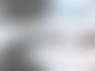 T0•04 — CORRUPTION