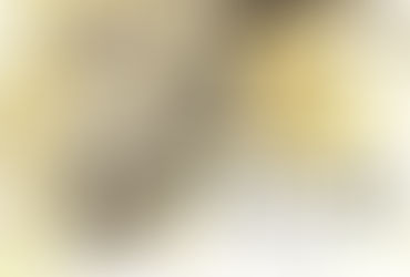 おもにサメ展【スタジオ利用】