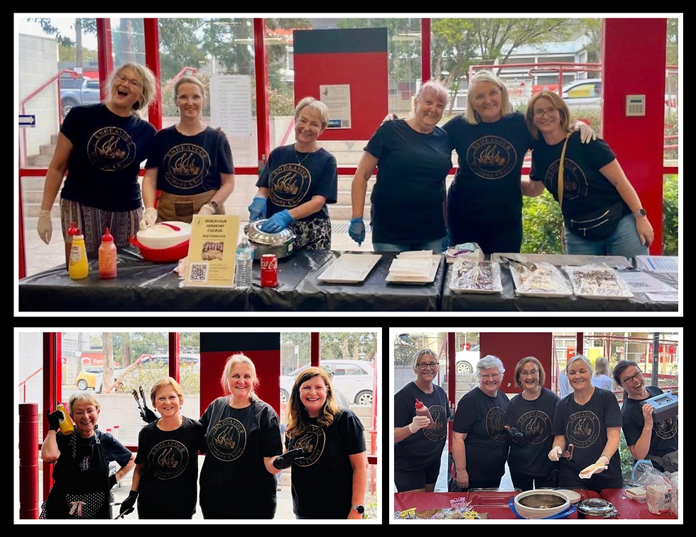Bunnings Caringbah BBQ Fundraiser